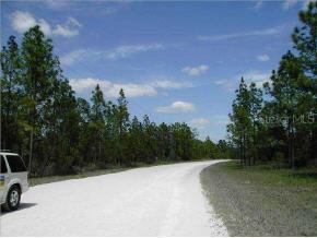 NE 38 Pl., Williston, FL 32696