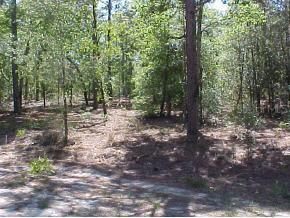 LT 33-35 SE Lt 89 Ter., Summerfield, FL 34491