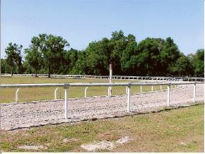 17490 S Highway 475, Summerfield, FL 34491