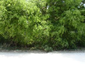 NW 3 Pl., Ocala, FL 34482