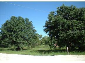 NW 53 Ave., Ocala, FL 34474