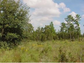 SE 85 Pl., Morriston, FL 32668