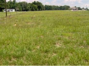 70 SE 110 St., Belleview, FL 34420