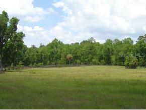 7357 NW Highway 316, Reddick, FL 32686