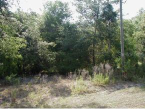 SE 101 Ter., Belleview, FL 34420