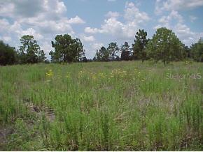 SW 30 Pl., Ocala, FL 34481