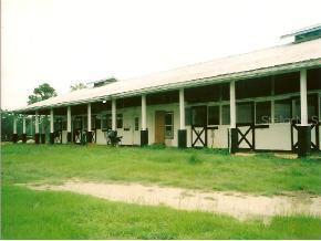 1100 SW 110th Ave., Ocala, FL 34481