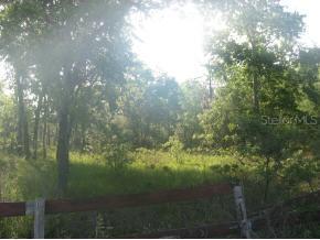 NE 120 Ter., Williston, FL 32696