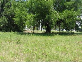 SE 201 St., Inglis, FL 34449