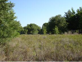 NW 6 St., Ocala, FL 34482