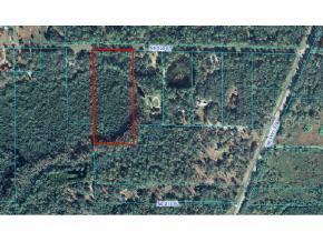 NE 220 Null St., Orange Springs, FL 32182
