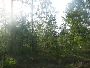 NE 105 Ave., Archer, FL 32618
