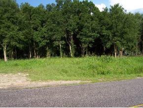 Highway 484, Summerfield, FL 34491