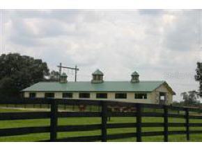 6562 NW 110 St., Reddick, FL 32686