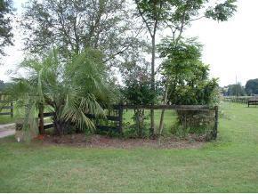 SE 145 St., Summerfield, FL 34491