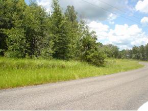 Locust Rd., Ocala, FL 34472