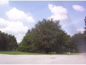 SE 10 Pl., Ocala, FL 34472