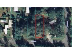 SE 131 Pl., Ocklawaha, FL 32179