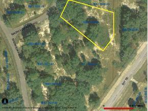 Magnolia Ps Trce, Ocklawaha, FL 32179