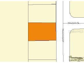 246 Malauka Loop, Ocklawaha, FL 32179