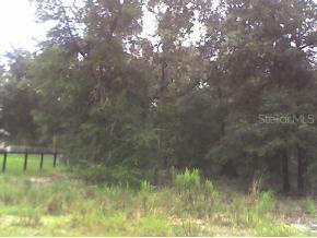 SE 163 Ln., Summerfield, FL 34491