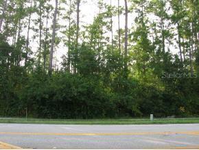NE Sr 121, Williston, FL 32696