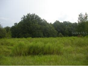 SE 143 Pl., Summerfield, FL 34491