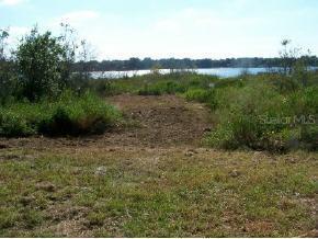 23310 NE 117 Null Ter., Orange Springs, FL 32182