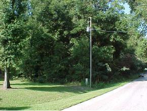 SE 137 Pl., Summerfield, FL 34491