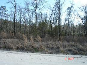 NE 40 St., Williston, FL 32696