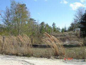 NE 40 St., Williston, FL 32696