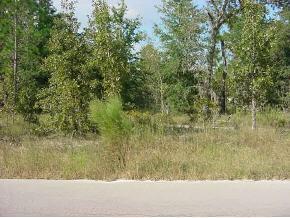 NE 5 St., Williston, FL 32696