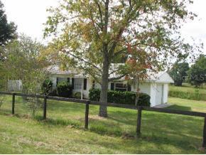 16920 N Highway 27, Williston, FL 32696