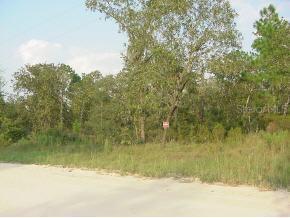 NE 126 Ave., Williston, FL 32696