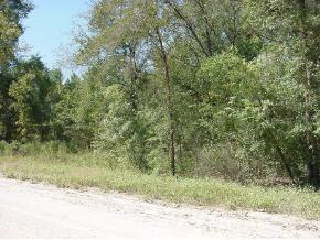 NE 128 Ter., Williston, FL 32696