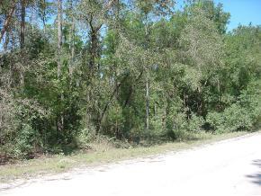 NE 137 Ct., Williston, FL 32696