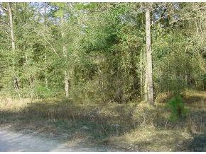 NE 16 Pl., Williston, FL 32696