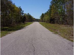 SW 49 Ter., Ocala, FL 34473