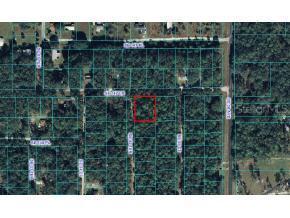 SE 34 Ter., Summerfield, FL 34491