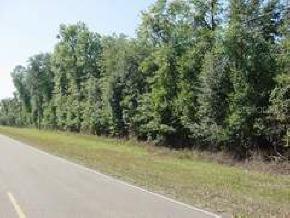 SE County Road 337, Morriston, FL 32668
