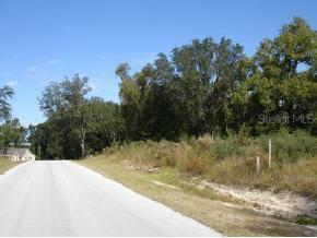 NE 184 Ter., Williston, FL 32696