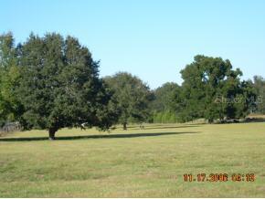 SE Highway 42, Summerfield, FL 34491