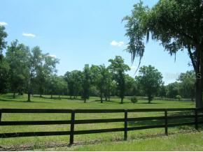 NW 120 Ter., Reddick, FL 32686