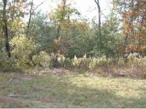SW 43 Ave Rd., Ocala, FL 34473