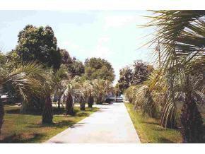 12550 SE Highway 25, Ocklawaha, FL 32179