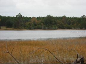 SE 79 St., Ocklawaha, FL 32179