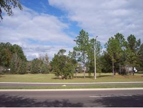 2121 SW 19 Ave Rd., Ocala, FL 34474