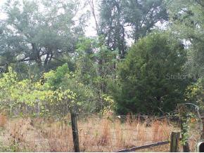 4106 SE 145 St., Summerfield, FL 34491