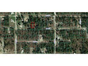 SE 161 St., Summerfield, FL 34491