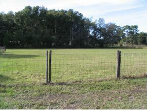 11296 SE Highway 42, Summerfield, FL 34491